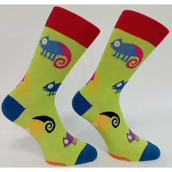 Pánské ponožky Dospělé ponožky Leon - 42-46 / světle zelená