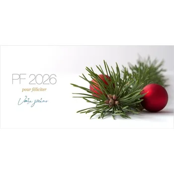 Vánoční dekorace Novoročenka 158 – Jehličí a ozdoby