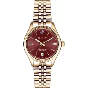 Hodinky SUSSEX-IPG GANT Time