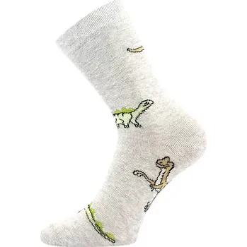 Dámské punčochy Chlapecké protiskluzové ponožky Filip C - 30-34 / světle šedá