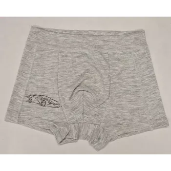 Chlapecké spodní prádlo Chlapecké modalové boxerky Autíčko - 98-104 / světle šedý melír