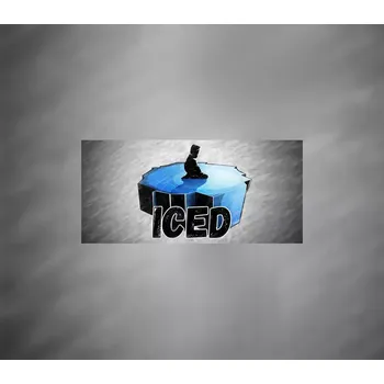 Počítačová hra ICED