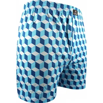 Trenýrky Pánské trenýrky Cube - M / modrá