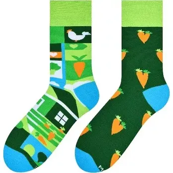 Pánské ponožky Pánské nestejné ponožky Zahrada - 39-42 / zelená