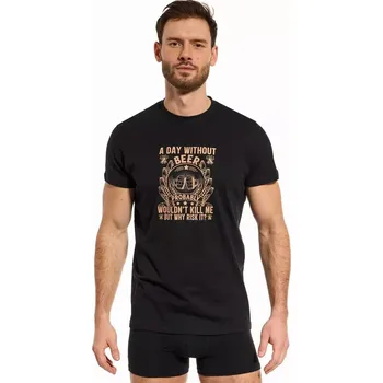 Pánské tričko Pánské tričko Day without Beer - 2XL / černá