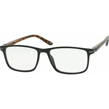 Brýle na čtení Dioptrické čtecí brýle RG2224 +0,5D