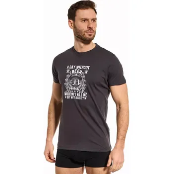 Pánské tričko Pánské tričko Day without Beer - M / grafitová