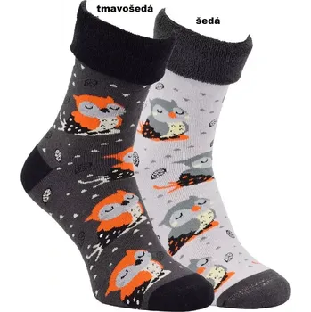 Dámské ponožky Dámské froté ponožky Sleeping Owl - 39-42 / šedá