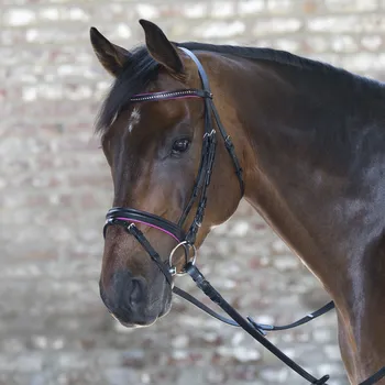 Věšák na sedlo a uzdečku WALDHAUSEN Uzdečka Star Diamond Waldhausen, fuchsia SHETTY