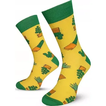 Pánské ponožky Dospělé ponožky Kaktusy - 39-41 / žlutá
