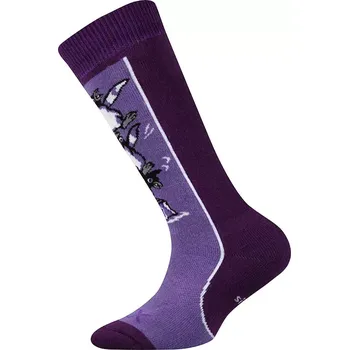 Dámské punčochy Dětské froté podkolenky Cosmic - 20-24 / fialová