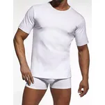 Pánské triko Authentic 202 - 3XL / bílá