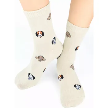 Dámské ponožky Dámské ponožky SB157 - 39-42 / béžová