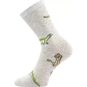 Dámské oblečení Chlapecké ponožky Dinosaurus - 20-24 / světle šedá