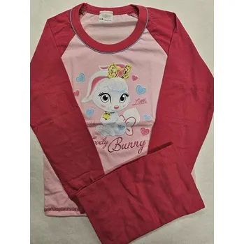 Dívčí pyžamo Dívčí pyžamo Bunny and Ponny dlouhé - 116 / růžová