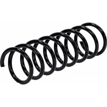 Zadní pružina zavěšení Ford Focus 10-20 1741784 NTY