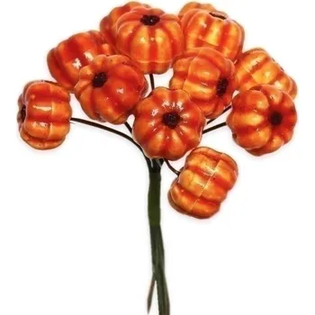 Dýně zápich 10cm - 12ks