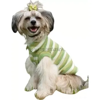 Obleček pro psa Svetr pro psy zelený (Oblečky pro psy)