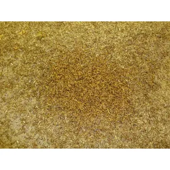 Hnojivo Plesnivec obilní (Buffalo) l: balení 0,5 litru