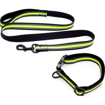Vodítko pro psa Set - reflexní vodítko a reflexní obojek VISIBLE, zelený, Domestico Velikost L