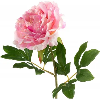 umělá květina KVĚT NATU 265 FI 18 X 78 CM RŮŽOVÝ