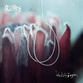 Zahraniční hudba LP Blessings: Blodsträngen 2025