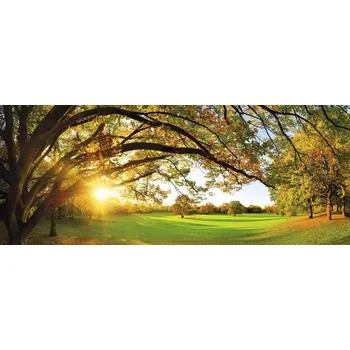 Obraz Obraz CAGI Park 80x150 cm