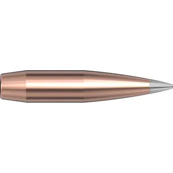 Příslušenství pro sportovní střelbu Střely Hornady 7mm (.284) 166gr A-Tip Match, 2836