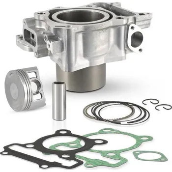 Motor pro motocykl RMS Válec GOETZE SH / Forza 300ccm 100080640