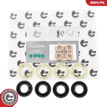 Systém vstřikování Sada těsnění vstřikovací trysky ESEN SKV 53SKV189