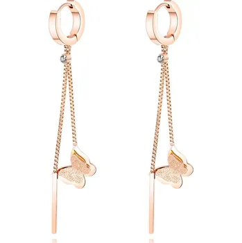 Náušnice Kloubové náušnice z oceli 316L - motýl s dvojitými křídly, čiré zirkony, hladký pásek