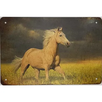 Plechová cedule Cedule Kuň