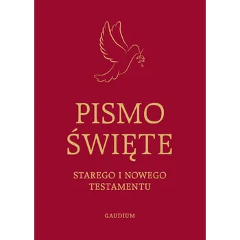 Umění Svaté Písmo SiNT - Památka na První Svaté Přijímání (kniha) nieznany