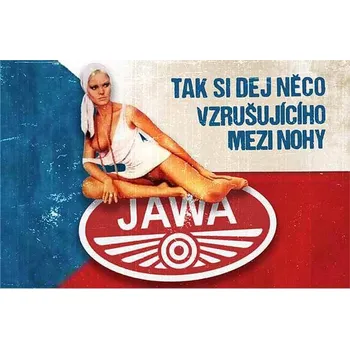 Plechová cedule Tak si dej něco vzrušujicího mezi nohy - ceduľa 30cm x 20cm Plechová tabuľa