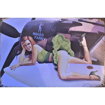 Plechová cedule Cedule Naked Fanky