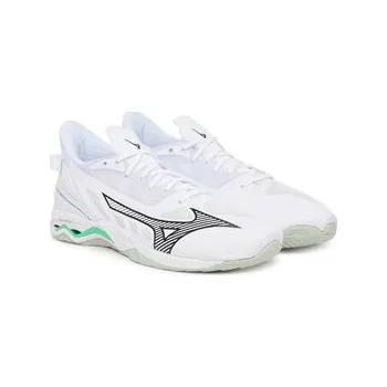 Pánská sálová obuv Sálovky Mizuno Wave Mirage 5 X1GA2350 Bílá 44_5