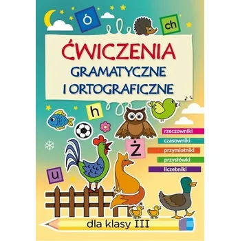 Cizí jazyk Ćwiczenia gramatyczne i ortograficzne dla klasy III - Guzowska Beata