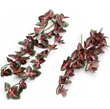 Obraz ROSTLINA 40 CM KOLEUS S PŘÍSAVKOU NA POZADÍ ZÁVĚSNÁ