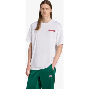 Pánské tričko adidas Graphic S 646959