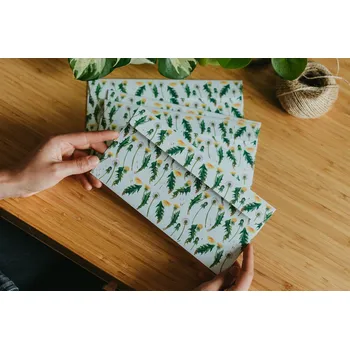 Obálka ePiPí Obálka DL - Pampelišky Počet kusů: 1 kus