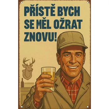 Plechová cedule Cedule 30cm x 20cm Přístě bych se měl ožrat znovu!