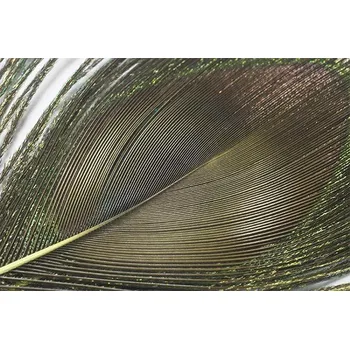 Paví oko Peacock Eye Chartreuse