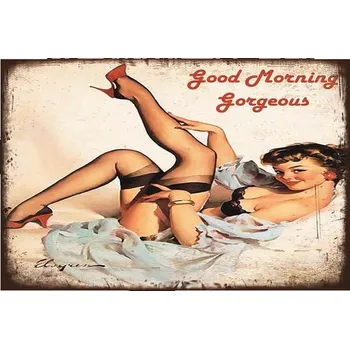 Plechová cedule Cedule Sexy žena good morning 2 30cm x 20cm plechová tabule