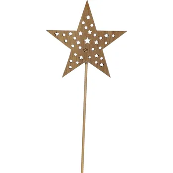 Vánoce Zápich hvězda