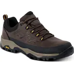 Pánské boty Regatta Blake Low Velikost bot (EU): 41 / Barva: hnědá