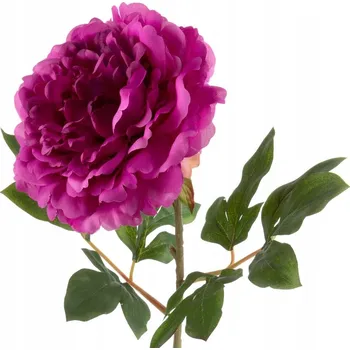 umělá květina KVĚTINA NATU 265 FI 18 X 78 CM AMARANTOVÁ