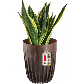 Květináč Plast Květináč Kadax béžový 25 cm x 25 x 30 cm