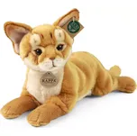 Plyšová kočka habešská 30 cm eco-friendly