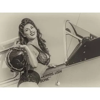 Plechová cedule Cedule 40cm x 30cm Sexy dívka na letadle