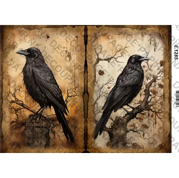 Umělecký papír Rýžový a soft papír na decoupage - Havran - KB01285 Materiál: Soft, Rozměr: A4